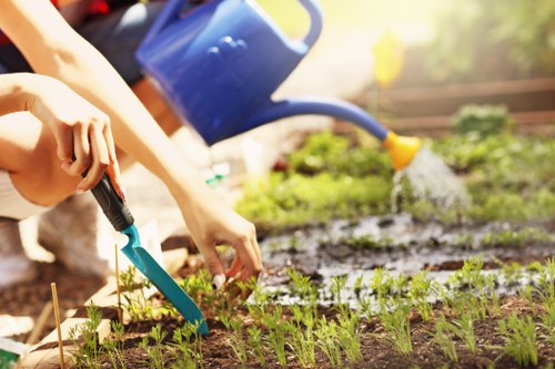 Gardener preparing safe tools and site checks in a domestic garden