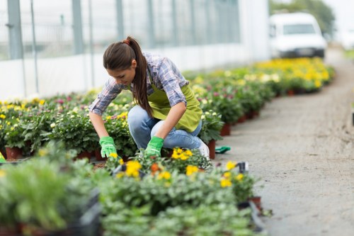 Gardeners Barkingside maintaining a vibrant residential garden