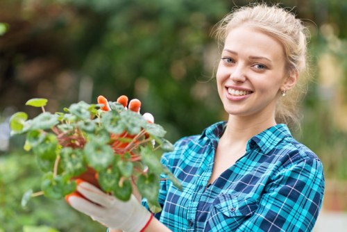 Lawn care in Barkingside for a neat green garden