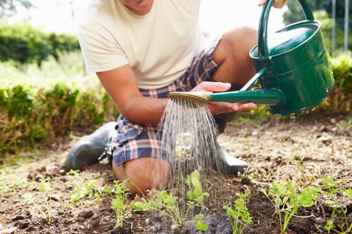 Barkingside garden design planning with paving, lawn, and shrubs