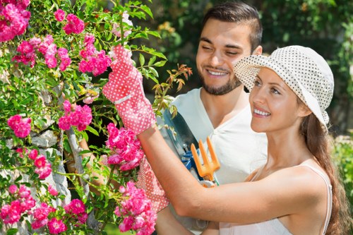 Professional garden maintenance in Barkingside