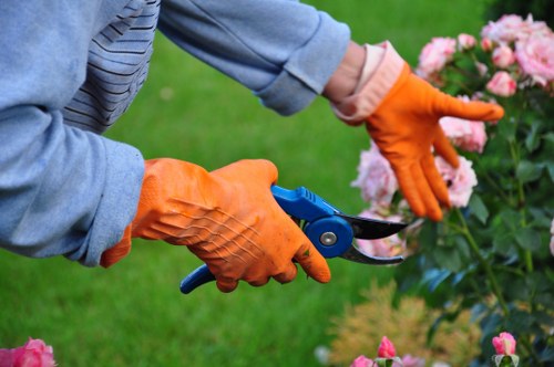 Complete garden maintenance services in Barkingside