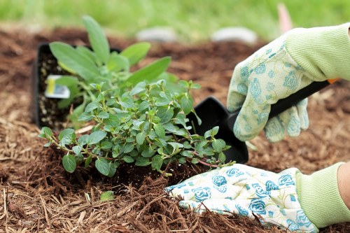 Garden waste being separated for recycling in Barkingside