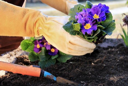 Careful grass cutting in a Barkingside garden