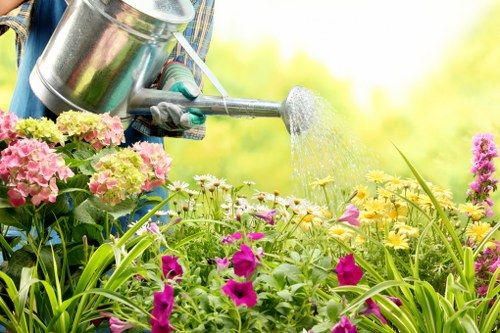 Visual of a professional reviewing garden work concerns