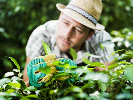 Image showing a garden service issue being documented