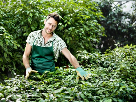 Professional lawn maintenance for Barkingside properties