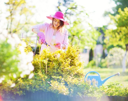 Inclusive Gardeners Barkingside content for all visitors