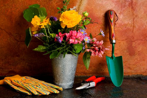 Insured gardeners completing a safe and professional garden service