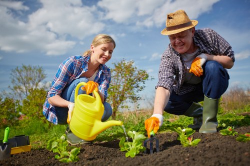 Professional lawn and hedge maintenance in Barkingside