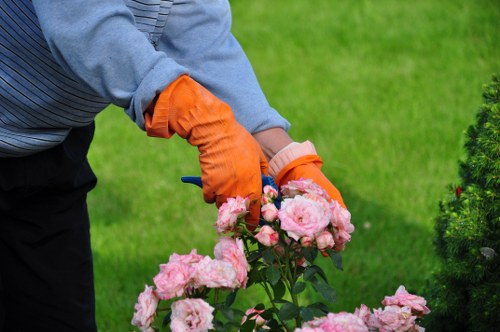 Cookie types and policy update information for Barkingside gardeners