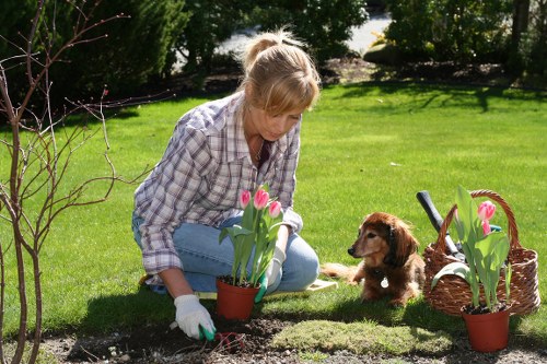 Supplier audit and ethical sourcing for gardeners