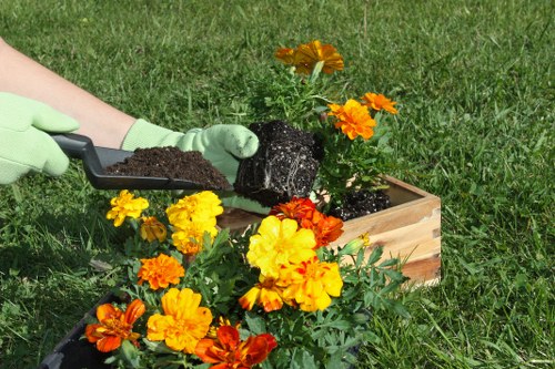 Seasonal turf maintenance and healthy grass in Barkingside