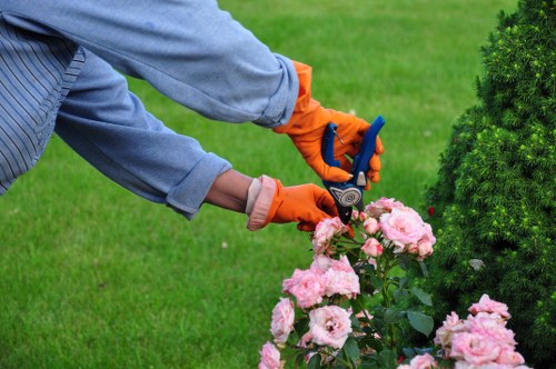 Seasonal lawn mowing service in Barkingside