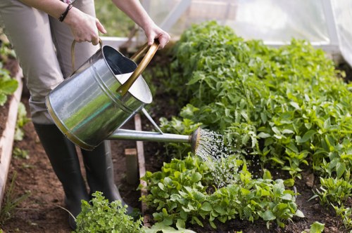 Local gardening work improving a Barkingside property exterior
