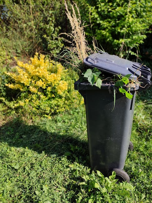 A residential garden scene featuring a well-maintained lawn bordered by a low hedge and a paved pathway. In the foreground, there is a green wheelbarrow filled with garden tools such as a rake and a h